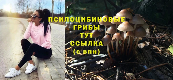 молекула духа Балахна