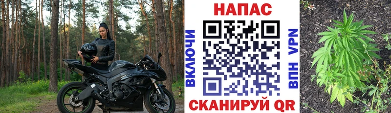 omg как зайти  Шагонар  Шишки марихуана Bruce Banner  купить наркотики цена 